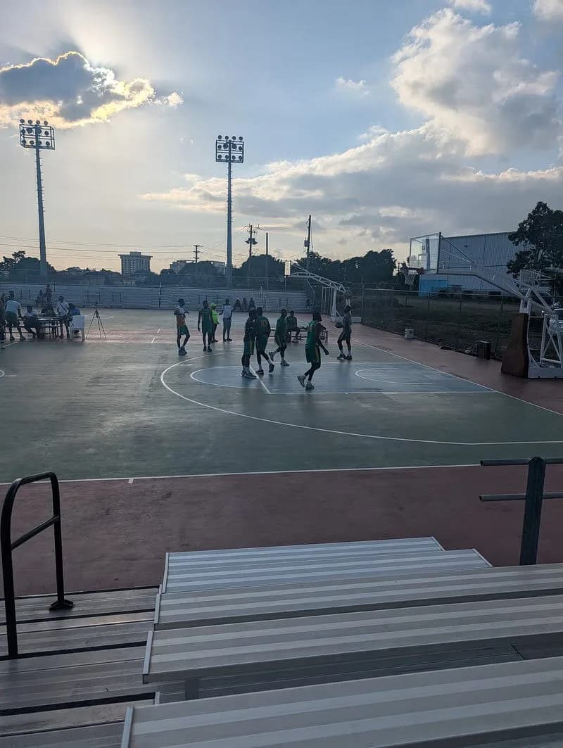 Revitalizing Jamaican Basketball: Challenges, Contributions, and Future Strategies