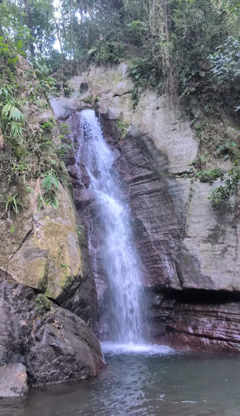 Chasing the Coldest Plunge: A Journey to Falling Edge Falls