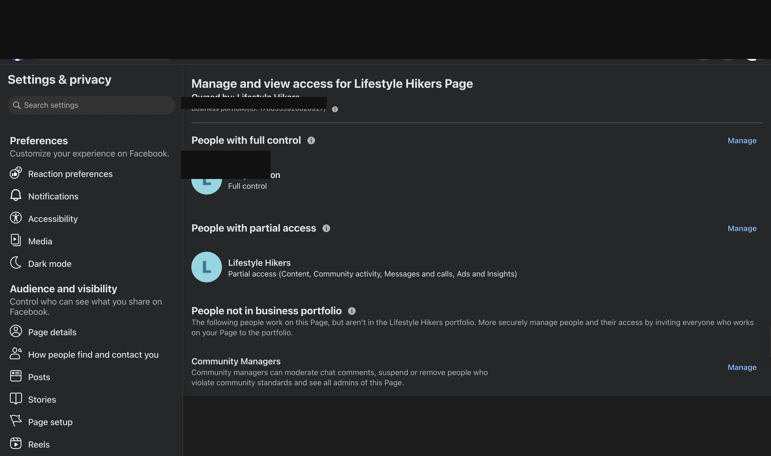 Facebook Page access showing full control