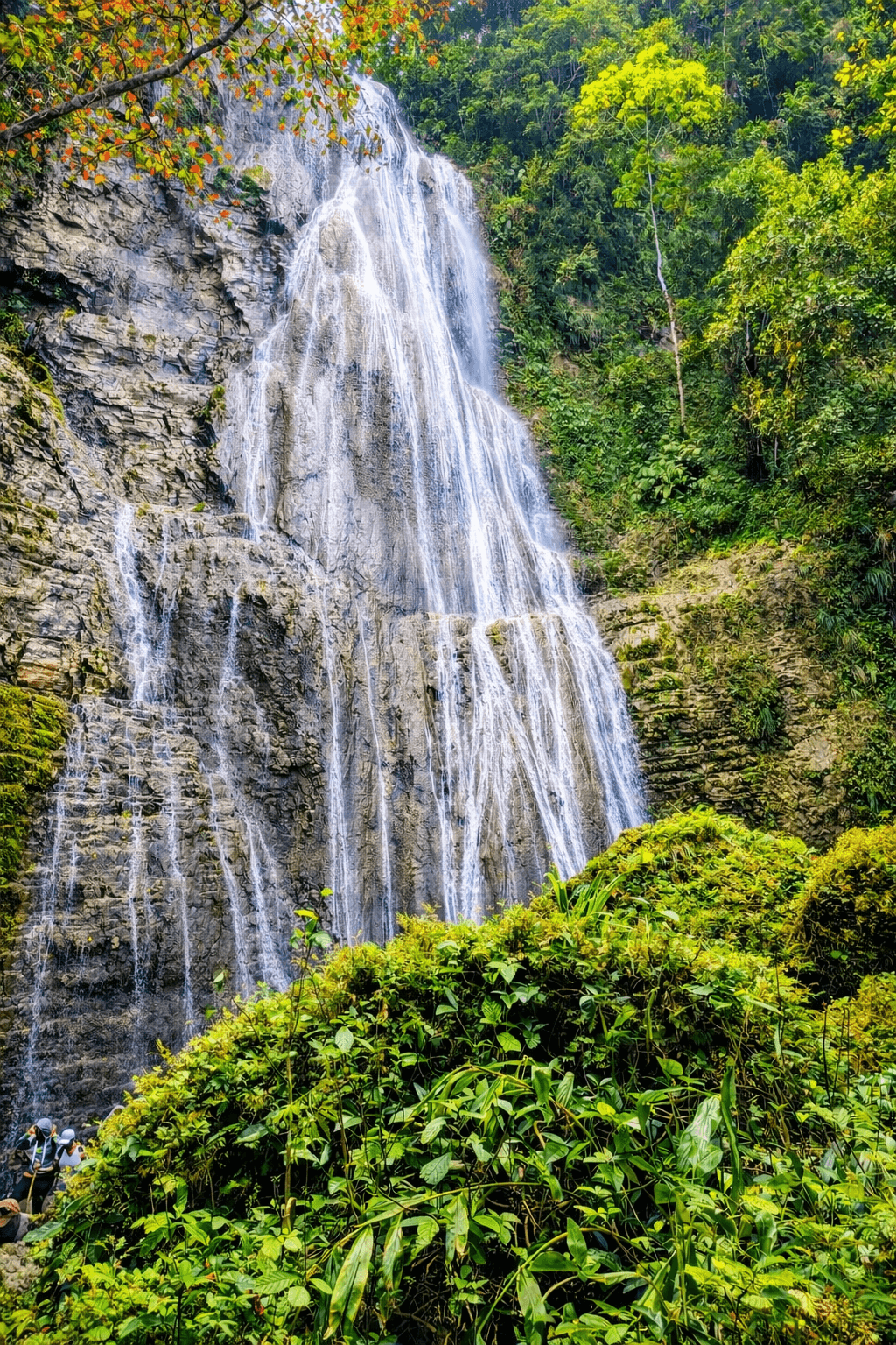 Chasing Giants: My Survival Guide to Nonsuch Falls